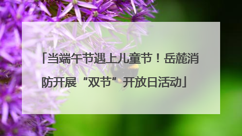 当端午节遇上儿童节！岳麓消防开展“双节”开放日活动