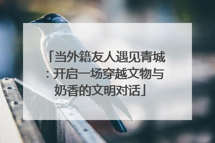当外籍友人遇见青城：开启一场穿越文物与奶香的文明对话