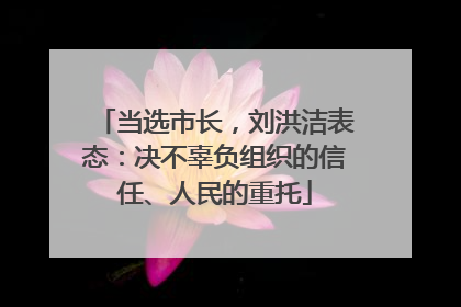 当选市长，刘洪洁表态：决不辜负组织的信任、人民的重托