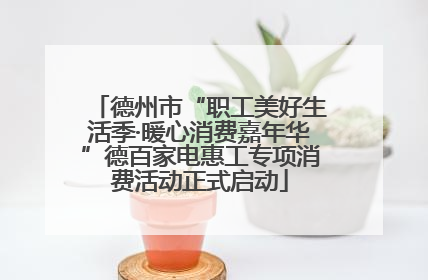德州市“职工美好生活季·暖心消费嘉年华”德百家电惠工专项消费活动正式启动