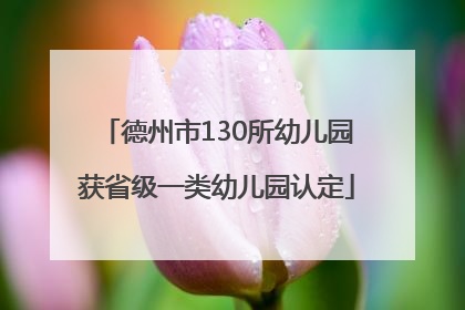 德州市130所幼儿园获省级一类幼儿园认定