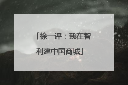 徐一评：我在智利建中国商城