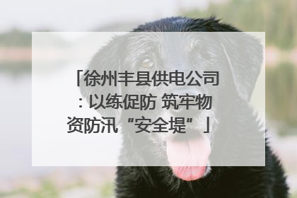 徐州丰县供电公司：以练促防 筑牢物资防汛“安全堤”