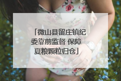 微山县留庄镇纪委靠前监督 保障夏粮颗粒归仓