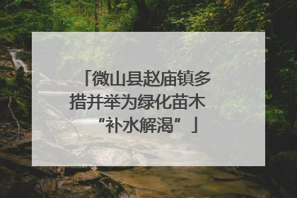 微山县赵庙镇多措并举为绿化苗木“补水解渴”