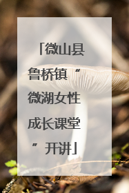微山县鲁桥镇“微湖女性成长课堂”开讲