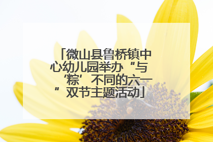微山县鲁桥镇中心幼儿园举办“与‘粽’不同的六一”双节主题活动