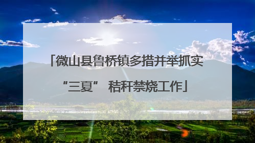 微山县鲁桥镇多措并举抓实 “三夏” 秸秆禁烧工作
