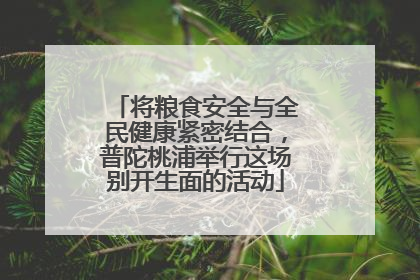 将粮食安全与全民健康紧密结合，普陀桃浦举行这场别开生面的活动