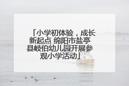 小学初体验，成长新起点 绵阳市盐亭县岐伯幼儿园开展参观小学活动