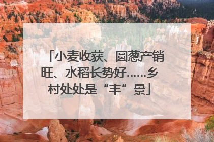 小麦收获、圆葱产销旺、水稻长势好……乡村处处是“丰”景
