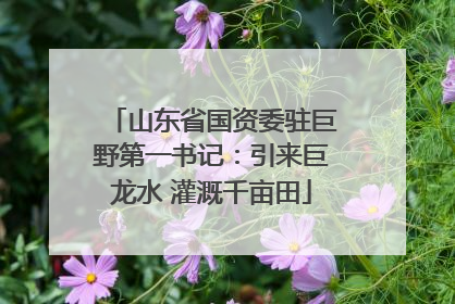 山东省国资委驻巨野第一书记：引来巨龙水 灌溉千亩田