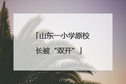 山东一小学原校长被“双开”