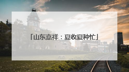 山东嘉祥：夏收夏种忙