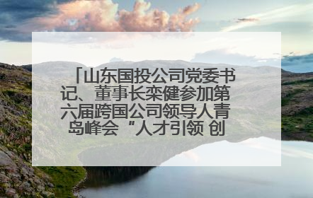 山东国投公司党委书记、董事长栾健参加第六届跨国公司领导人青岛峰会“人才引领 创新驱动”人力资源高质量发展对话会