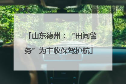 山东德州：“田间警务”为丰收保驾护航