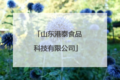山东港泰食品科技有限公司