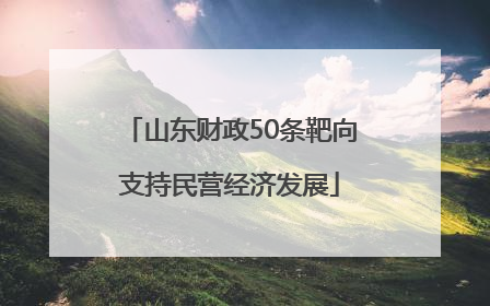 山东财政50条靶向支持民营经济发展