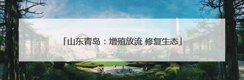 山东青岛：增殖放流 修复生态