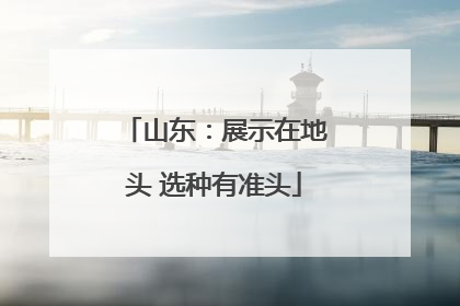 山东：展示在地头 选种有准头