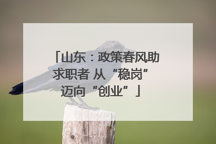 山东：政策春风助求职者 从“稳岗”迈向“创业”