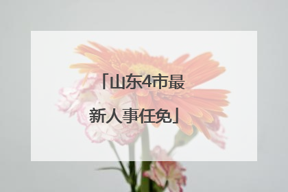 山东4市最新人事任免