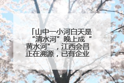 山中一小河白天是“清水河”晚上成“黄水河”，江西会昌正在溯源，已有企业被要求停工
