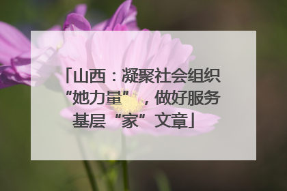 山西：凝聚社会组织“她力量”，做好服务基层“家”文章