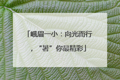 峨眉一小：向光而行，“暑”你最精彩