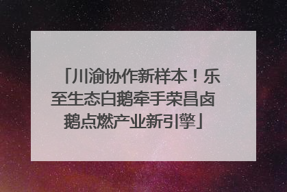 川渝协作新样本！乐至生态白鹅牵手荣昌卤鹅点燃产业新引擎