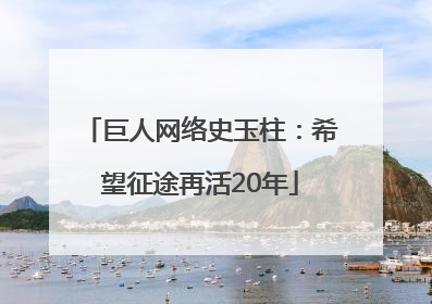 巨人网络史玉柱：希望征途再活20年