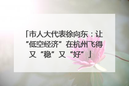 市人大代表徐向东：让“低空经济”在杭州飞得又“稳”又“好”