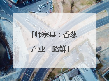 师宗县：香葱产业一路鲜