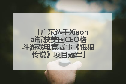 广东选手Xiaohai斩获美国CEO格斗游戏电竞赛事《饿狼传说》项目冠军