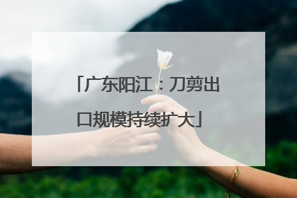 广东阳江：刀剪出口规模持续扩大