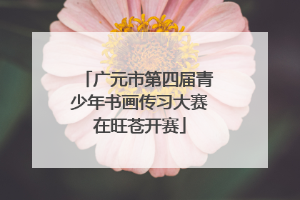 广元市第四届青少年书画传习大赛在旺苍开赛