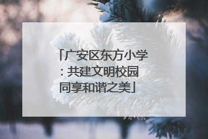 广安区东方小学：共建文明校园 同享和谐之美