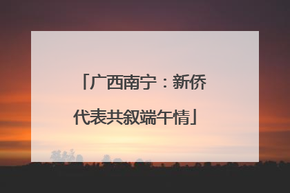 广西南宁：新侨代表共叙端午情