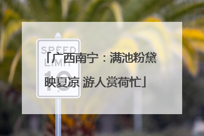 广西南宁：满池粉黛映夏凉 游人赏荷忙