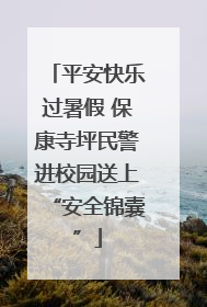 平安快乐过暑假 保康寺坪民警进校园送上“安全锦囊”