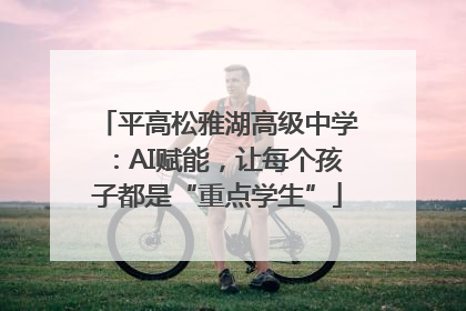 平高松雅湖高级中学：AI赋能，让每个孩子都是“重点学生”
