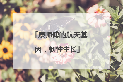康师傅的航天基因，韧性生长