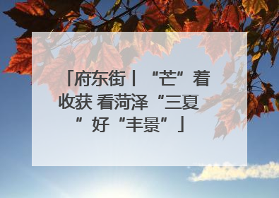 府东街丨“芒”着收获 看菏泽“三夏”好“丰景”