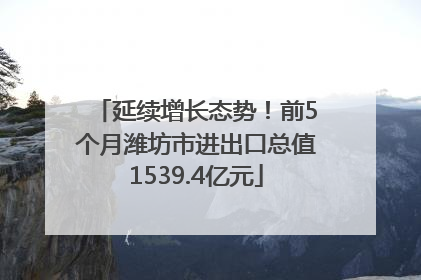 延续增长态势！前5个月潍坊市进出口总值1539.4亿元