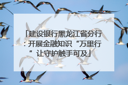 建设银行黑龙江省分行：开展金融知识“万里行”让守护触手可及