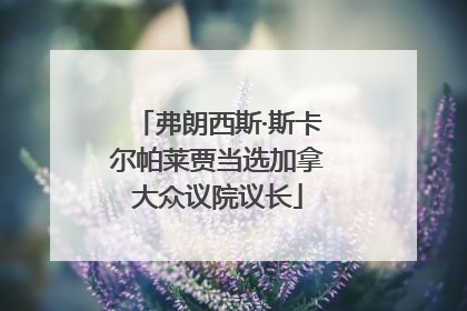 弗朗西斯·斯卡尔帕莱贾当选加拿大众议院议长