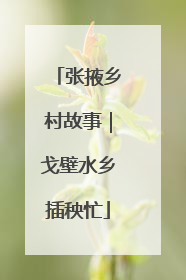 张掖乡村故事｜戈壁水乡插秧忙