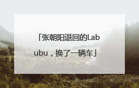 张朝阳退回的Labubu，换了一辆车