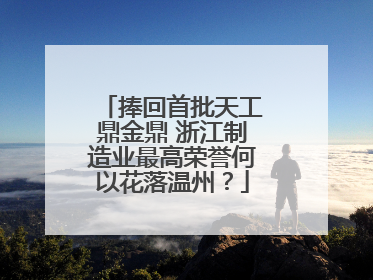 捧回首批天工鼎金鼎 浙江制造业最高荣誉何以花落温州？