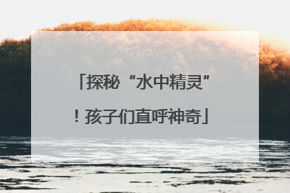探秘“水中精灵”！孩子们直呼神奇